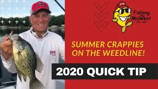 Summer Crappie Fishing Success On The Deep Weedline!