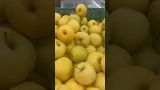 Цена на ЯБЛОКИ 