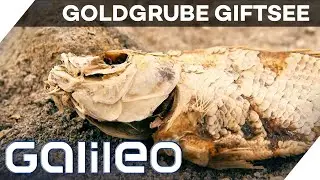 Lost Place: Die verborgenen Sch&auml;tze im giftigen Salton Sea | Galileo | ProSieben