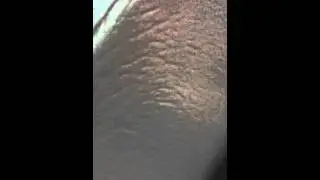 A kid got in trouble and I recorded it
