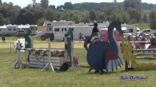 023S Jenna Lounsbery on Kellican JR/YR Preliminary Show Jumping Inavale Farm HT June 2017