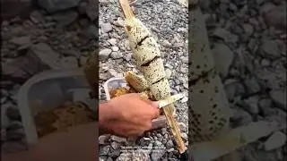 Extracting honey from a honeycomb found in nature