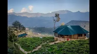 Madulkelle Tea and Eco Lodge  - Sri Lanka