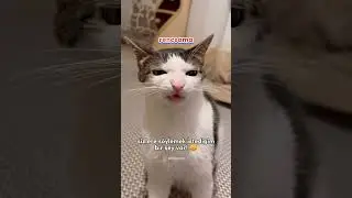 Mutlu Yıllar Yarr&uuml;! 💜😙