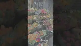 Flower🌺 Gippy Grewal New Punjabi Song WhatsApp Status 2022⚡️#shorts #punjabistatus #bhattitweets