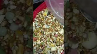 Hamster food Refill #food #refill #shorts #asmr #shortvideo #satisfying