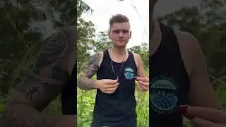 Tasting the strawberry cherry guava