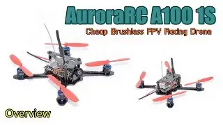 AuroraRC A100 1S Micro Brushless FPV Racing Drone
