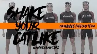 Shake Your Catlike | Granville Factory Team