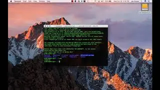 Using SSH to connect to a Raspberry Pi