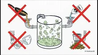 How to care for your septic system