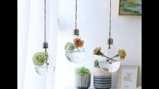 Ivolador 3PCS Lightbulb Glass Propagation Hanging Planter Terrarium Container for Hydroponic Plants