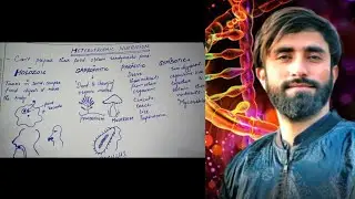 Life processes, Heterotrophic nutrition 