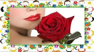 Spanish Rose - Chris Haugen Испанская роза