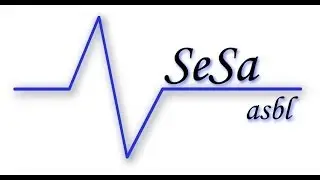 Test final FI BSSA extraits formation sauvetage aquatique BSSA  BBSA secourisme sauveteur SeSa