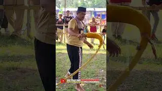 SUARA ASLI PECUT SAMANDIMAN#pecutbopo #pecutsamandiman #jarananndadi #kudalumping #jathilanndadi