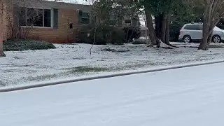 Birds fly and peck around in a yard in Hickory Sunday morning at snow and sleet fall.