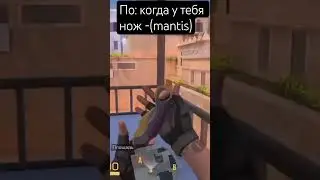 #hazard #standoff2 #потпишьсь #стандофф2 #нож #mantis а у тебя есть нож?🤔
