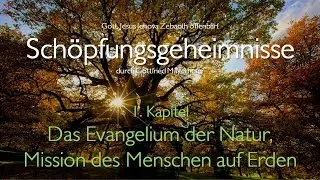 DAS EVANGELIUM DER NATUR ❤️ Der Herr offenbart Sch&ouml;pfungs-Geheimnisse durch Gottfried Mayerhofer