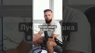 Лучшая мышка 2025 для всего Logitech MX Anywhere 3S