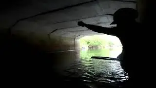 Return to PEI Trout Fishing for Monster Brook Trout on The Fly  Part 1 of 3