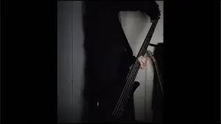 DIR EN GREY - 暁(Akatsuki) Bass Cover