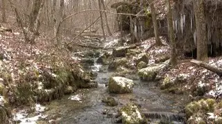 Buck Hollow Conservation Area & Jack's Fork River, Mountain View Missouri