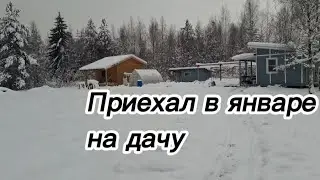 Зима. Баня. Курицы.