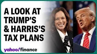Trump, Harris promising more than they can deliver: Rep. Brady