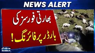 Indian Forces Ki*l Eight Goats After Firing Across Tharparkar Border | SAMAA TV