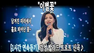 (1시간 연속듣기)🎧이별꽃 | 발라드 트로트 신곡 | 사랑이 진 자리 위에 피어난 ‘이별꽃’
