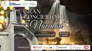 Gran Concierto de Navidad | Catedral de San Bernardo