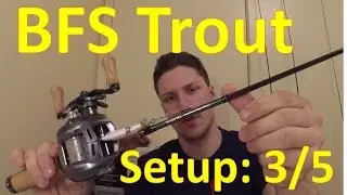 BFS Trout: Setup 3/5, Daiwa Alphas AIR Stream Custom & Daiwa Silver Creek AGS