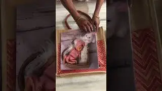 Baby album ready to deliver #babyphotography #photoshoot #newbornbaby contact-9787576777