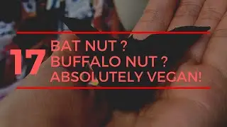 Bat Nut Buffalo Nut Absolutely Vegan