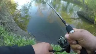 Mohawk River Utica NY Smallouth Bass