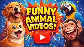 Cute pets shorts, Animal fails, Try not to laugh animals