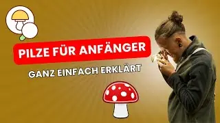 Pilze erkennen leicht gemacht &ndash; Einstieg in die Pilzwelt 🍄 #pilze #mushroom #natur #wald