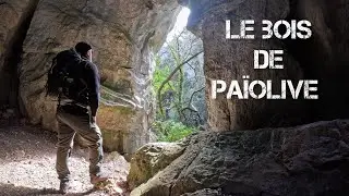 Randonnée : Le bois de païolive, un endroit magique et mystérieux.