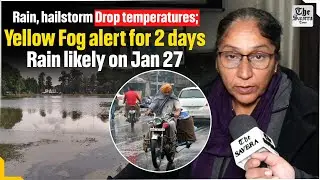Rain, hailstorm drop temperatures; Yellow Fog alert for 2 days, Rain likely on Jan 27