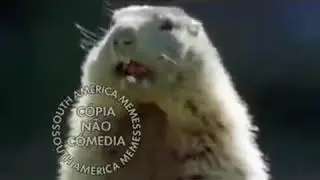 Meme nhe