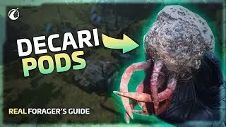Best Decari Pod Farm Location | Star Citizen 4.6 Event Prep