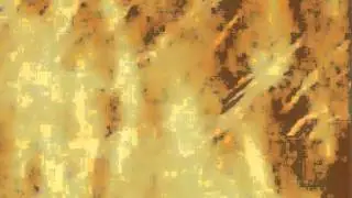 Biyomon warp digivolve to Phoenixmon
