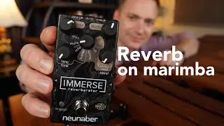 Neunaber Immerse Reverb MkII // How does it sound on marimba?