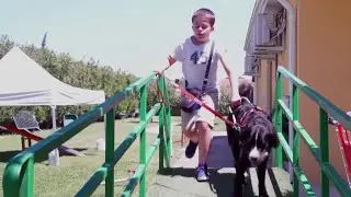 À l'école des chiens d'aveugles pour enfants - La Maison des maternelles #LMDM