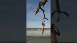 The end 😂😂😂&nbsp;#viral&nbsp;#shorts&nbsp;#fails&nbsp;#funny&nbsp;#humorfolder