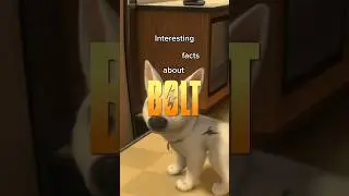 Interesting facts about Bolt #disney #disneyplus