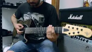 Michael Kelly 507 7 String