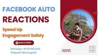 Facebook Auto Reactions Speed Up Engagement Safely