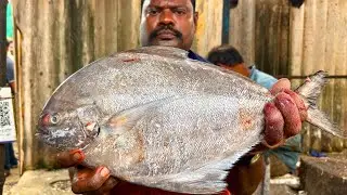 KASIMEDU SPEED SELVAM BLACK POMFRET FISH 🐟 CUTTING VIDEO \ CUTTING FOCUS